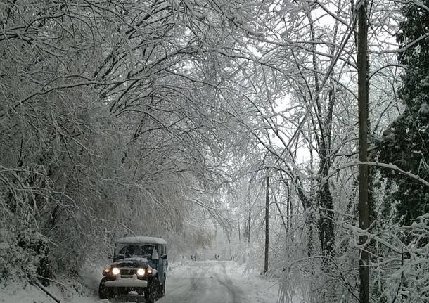 Neve a Gazzada Schianno