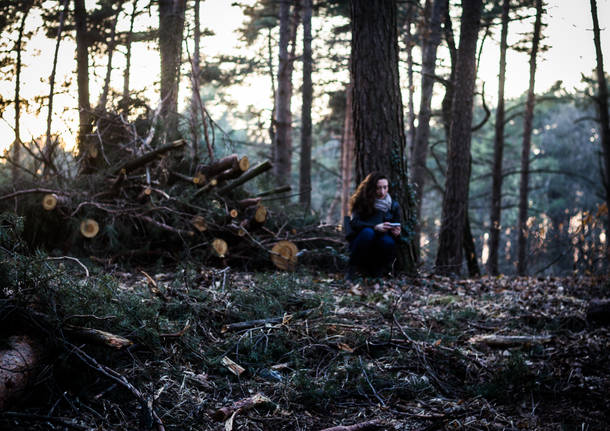 La deforestazione di Pianbosco