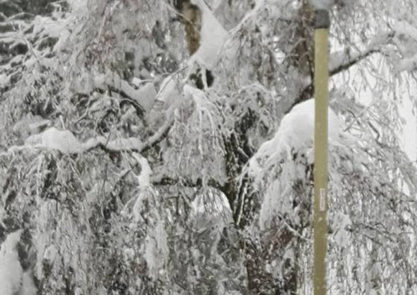 La Val Marchirolo sotto la neve