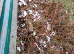 Arnetta,discarica a cielo aperto