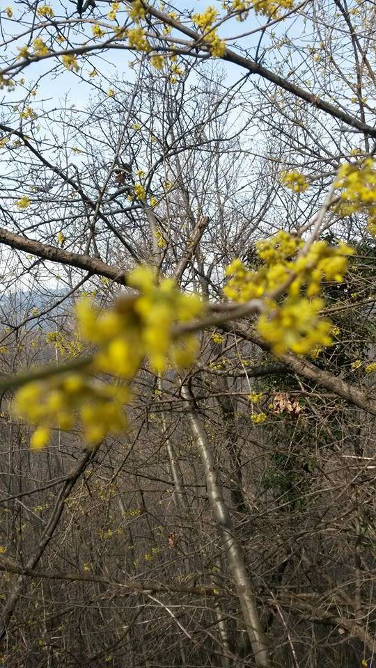 La primavera è alle porte