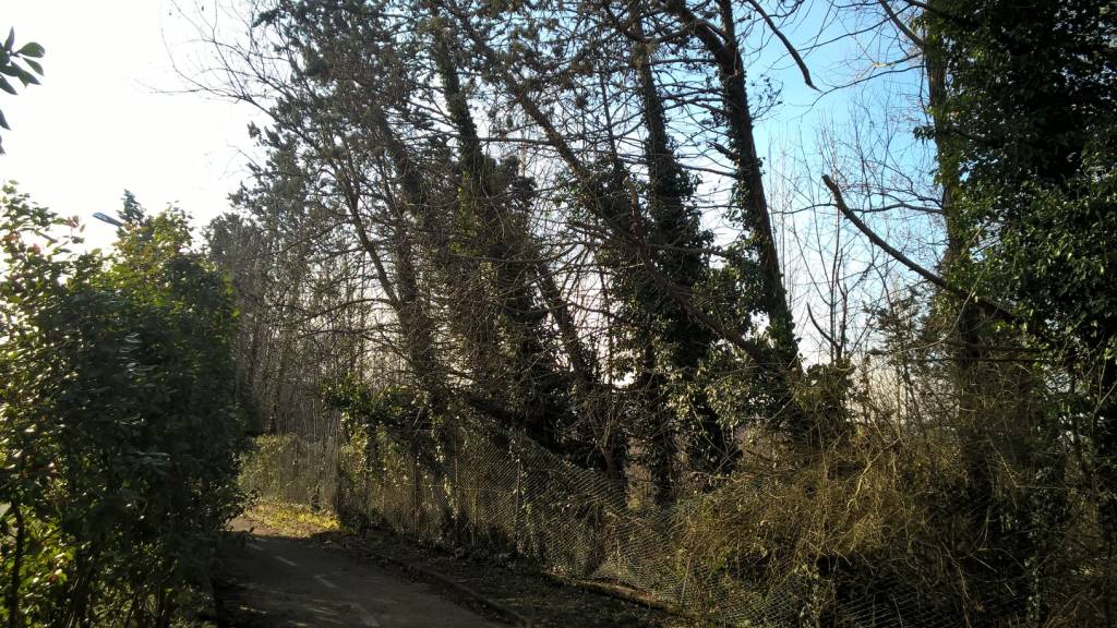 Ciclabile chiusa a Cazzago Brabbia