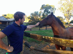 Da Varese all'Australia, per allevare cavalli