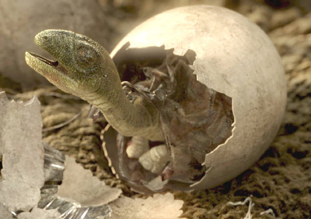 dinosauro