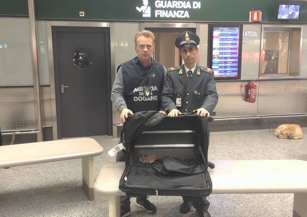 Fiumi di droga a Malpensa, nascosta nei modi più strani