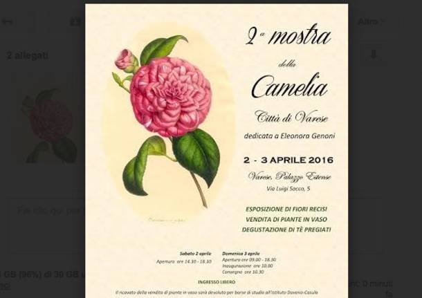 Eventi generiche