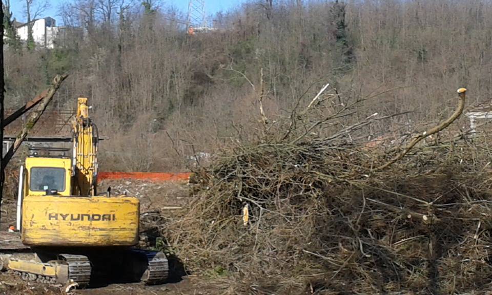 Ex Cartiera, prosegue la bonifica: via arbusti e sterpaglie