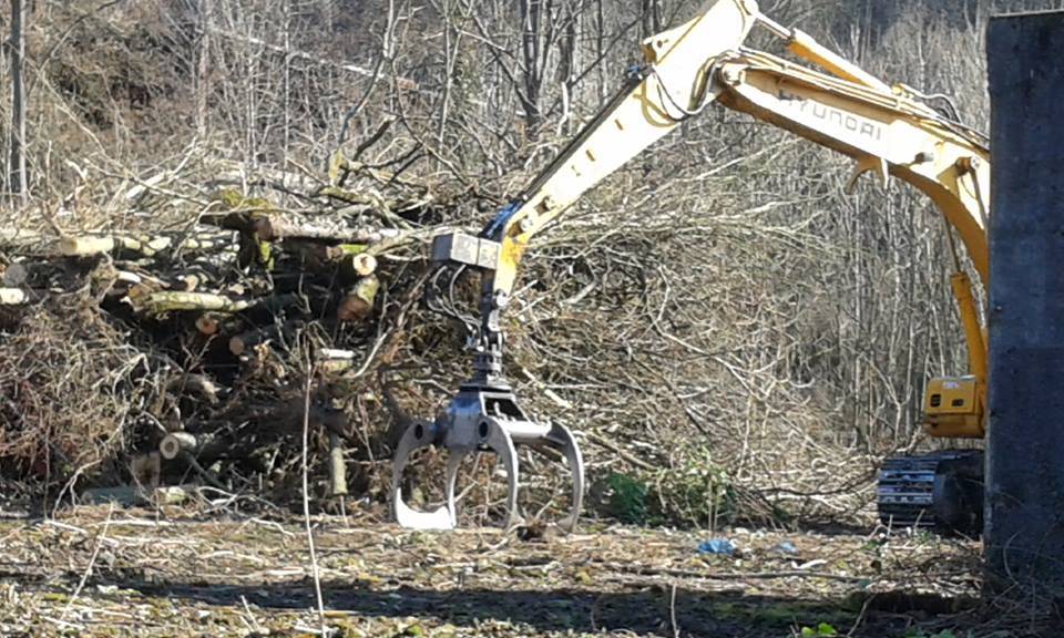 Ex Cartiera, prosegue la bonifica: via arbusti e sterpaglie