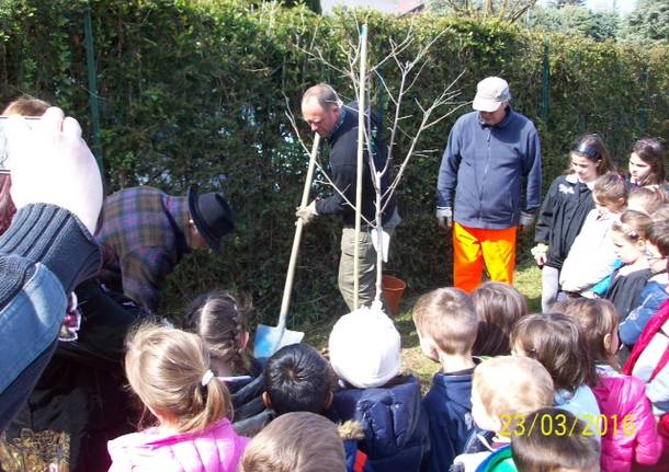 Festa degli alberi a Bodio Lomnago