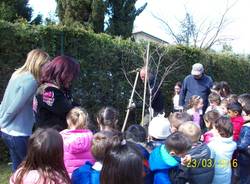 Festa degli alberi a Bodio Lomnago