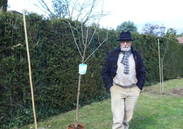 A Bodio torna la festa degli Alberi