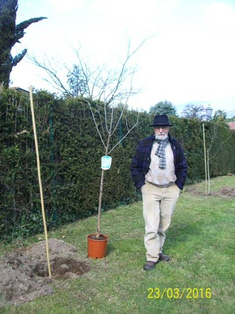 Festa degli alberi a Bodio Lomnago