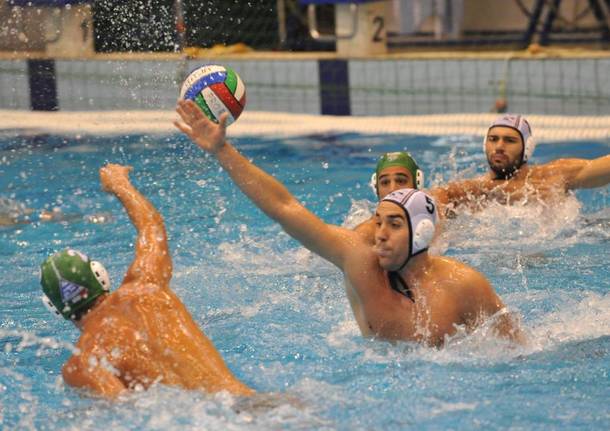 final four coppa italia pallanuoto piscina manara busto arsizio