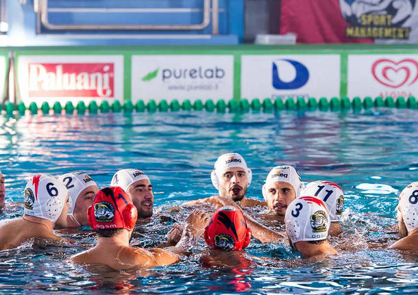 final four coppa italia pallanuoto piscina manara busto arsizio