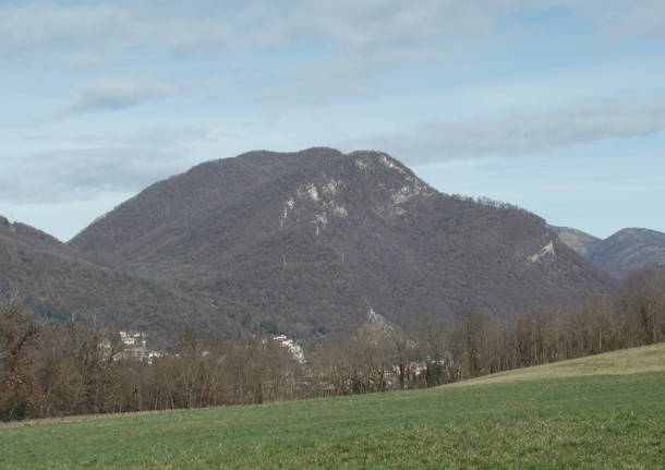 Il corniolo