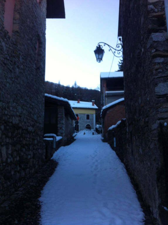 il tenente nella neve