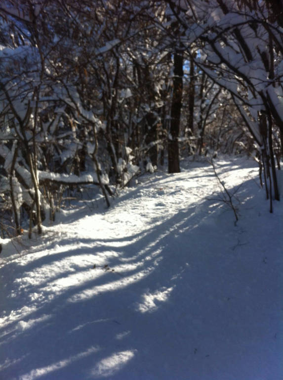 il tenente nella neve
