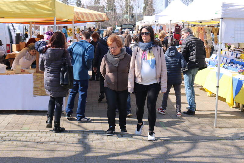 IMG 8085