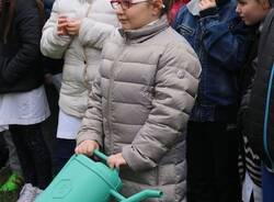 IMG 8227