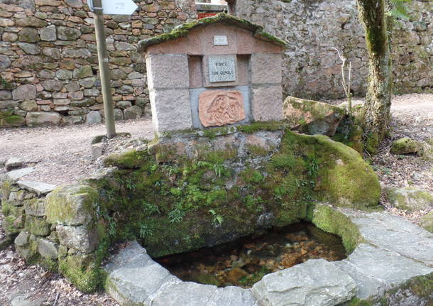 La mercorella