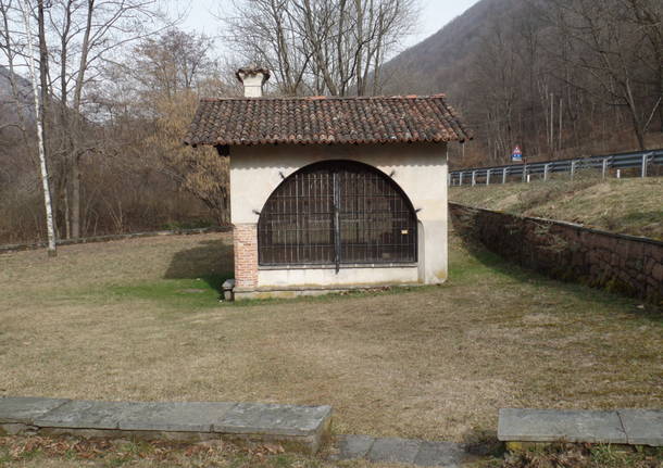 La mercorella