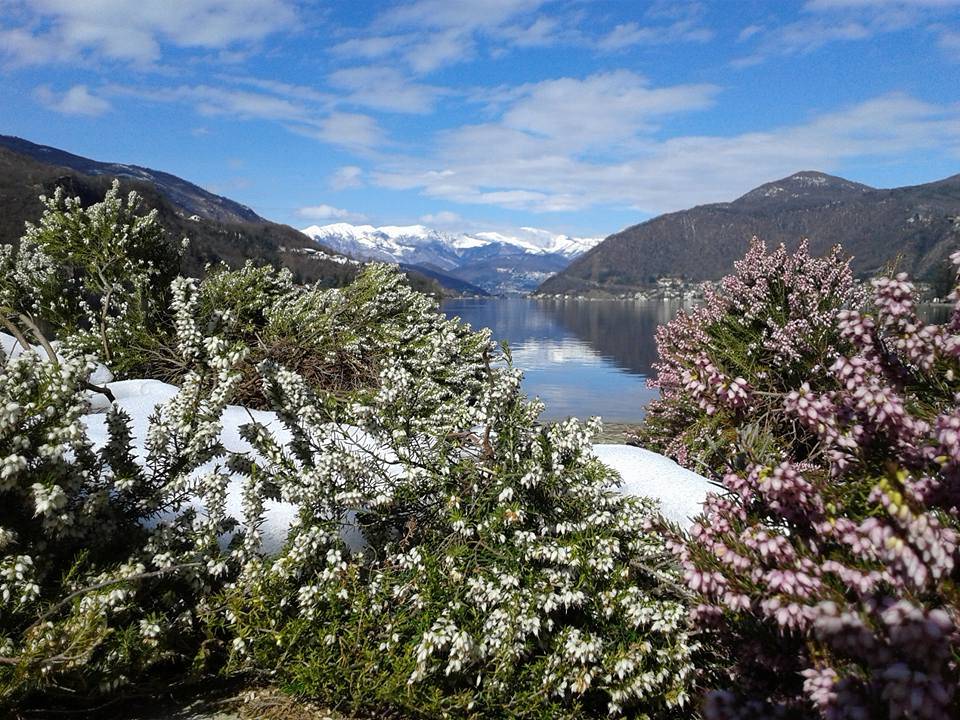 Luce di primavera a Lavena Ponte Tresa