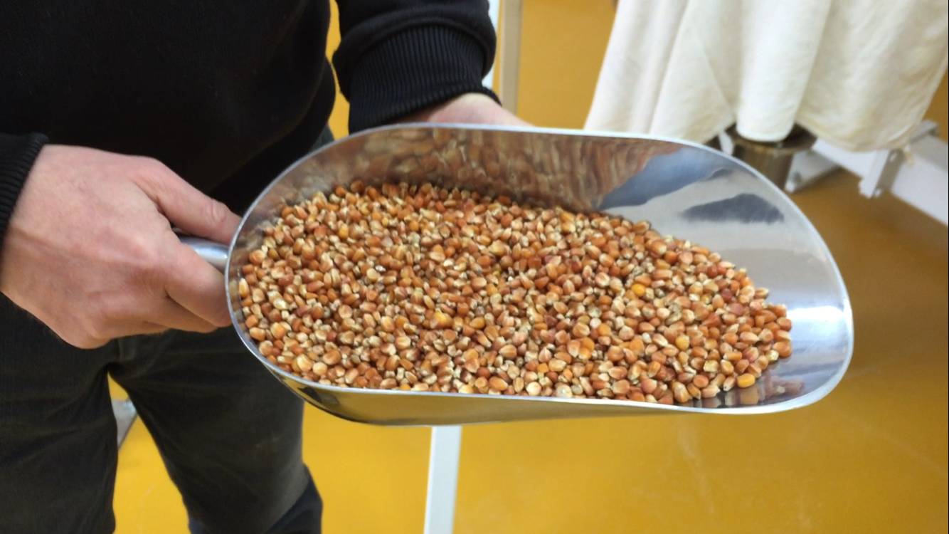 Molino galli Viggiù 