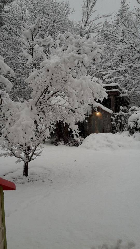 Neve 5 marzo 2016