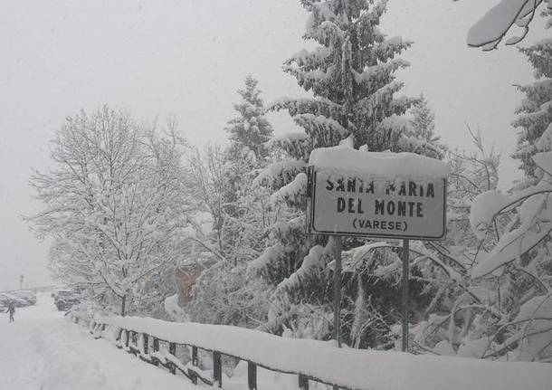 Neve, le foto di “Oggi nel Varesotto” – 1