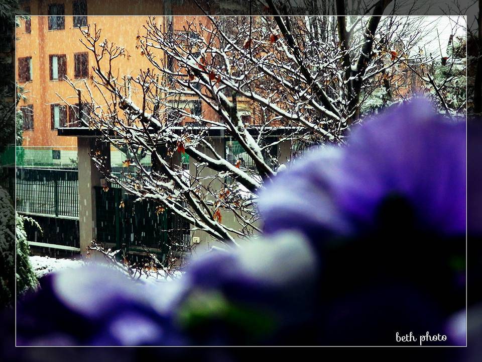 Neve, le foto da "Oggi nel Varesotto" - 1