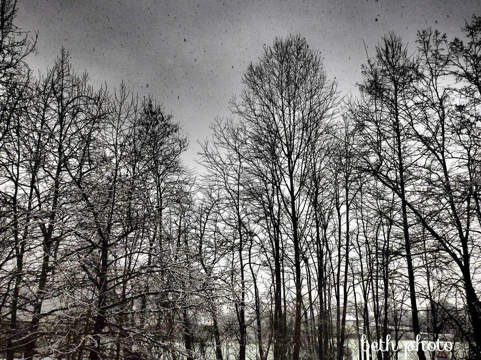 Neve, le foto da "Oggi nel Varesotto" - 1