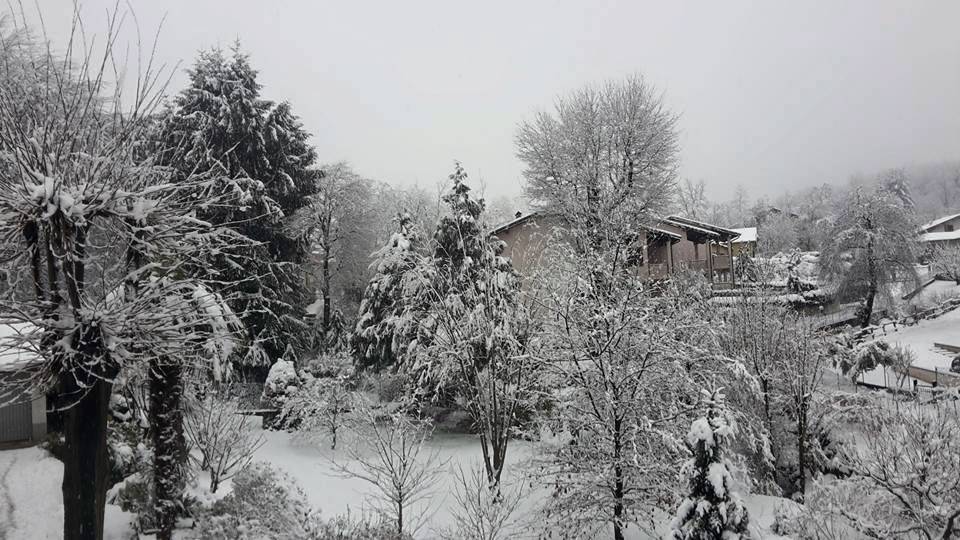 Neve, le foto di “Oggi nel Varesotto” – 2