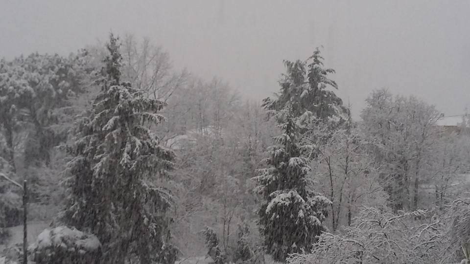 Neve, le foto di “Oggi nel Varesotto” – 2