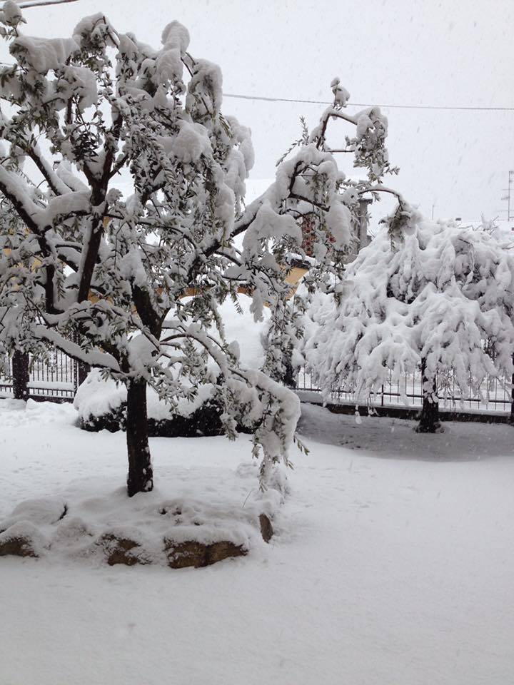 Neve, le foto di “Oggi nel Varesotto” – 2