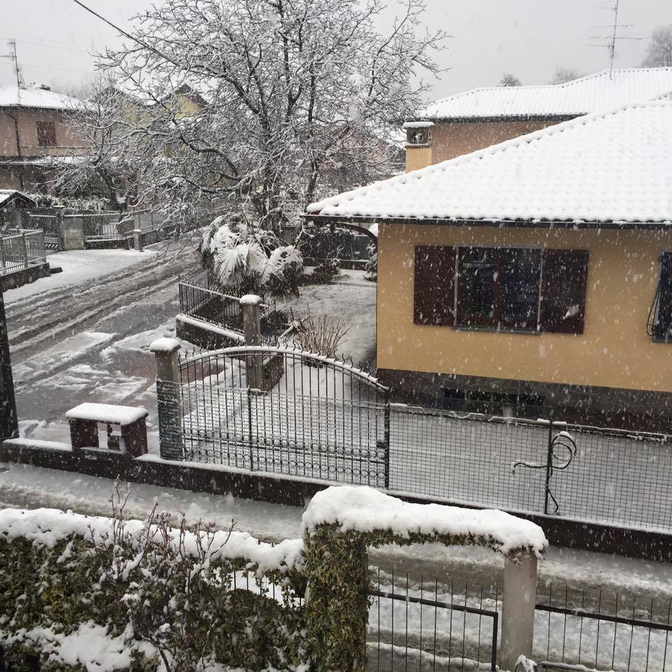 Neve, le foto di “Oggi nel Varesotto” – 2