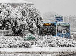 Neve, le foto di “Oggi nel Varesotto” – 3