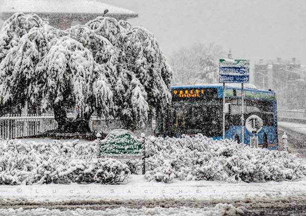 Neve, le foto di “Oggi nel Varesotto” – 3