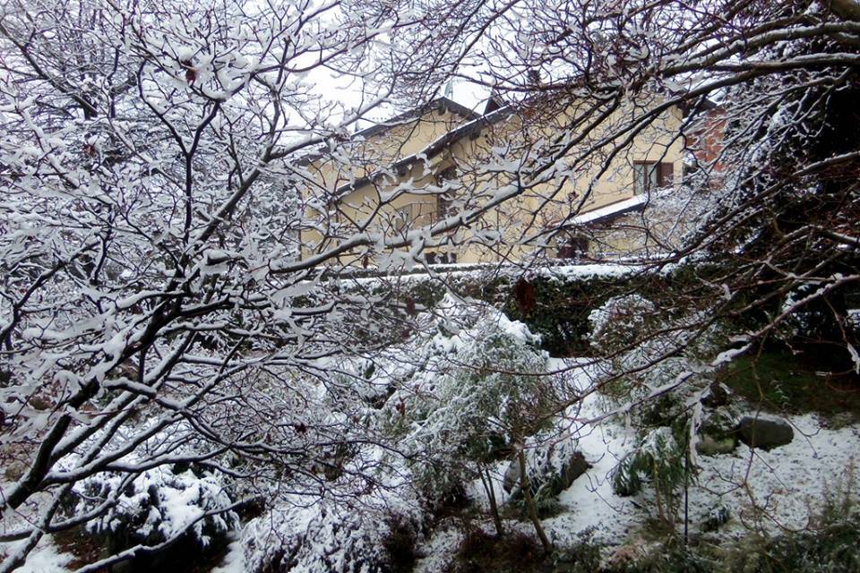 Neve, le foto di “Oggi nel Varesotto” – 3