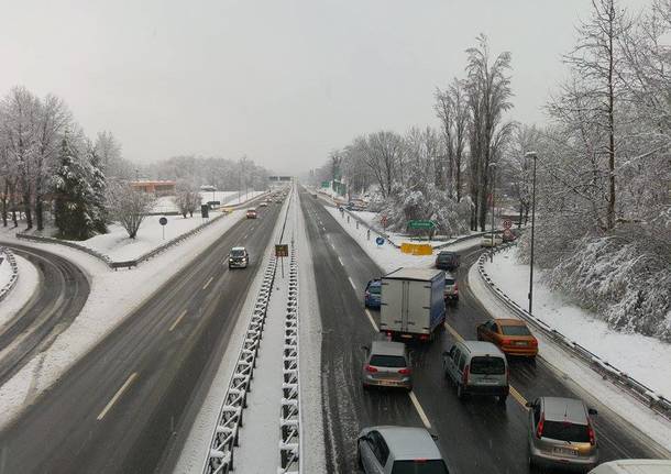 Nevicata di marzo 2016