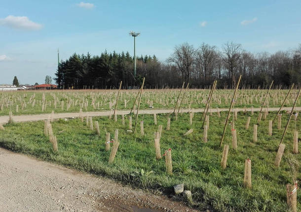 pedemontana ambiente fagnano olona