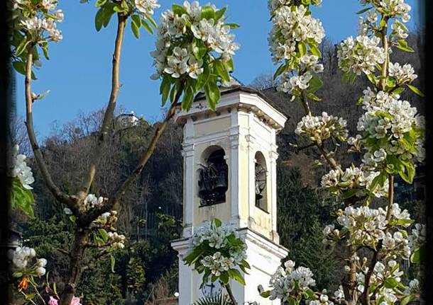 Primavera a Maccagno - foto di Laura Monaco