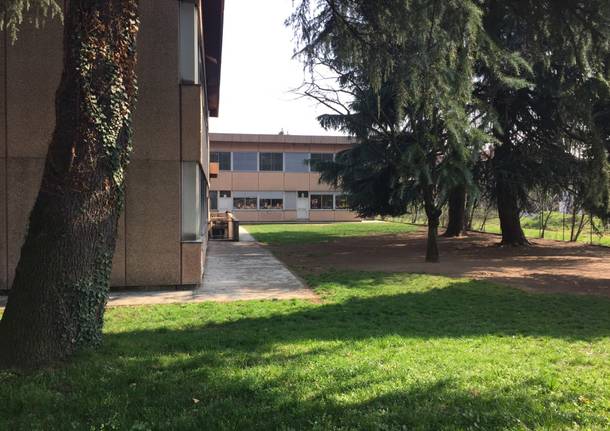 scuola scuole Cedrate Gallarate De Amicis primaria elementari