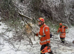 Sesto Calende, la Protezione Civile al lavoro