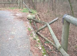 Sos, la pista ciclabile ha bisogno di manutenzione