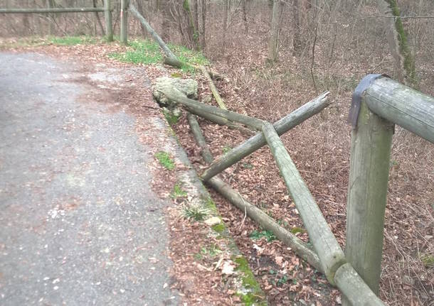 Sos, la pista ciclabile ha bisogno di manutenzione