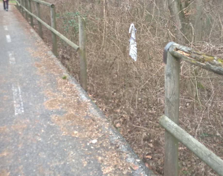 Sos, la pista ciclabile ha bisogno di manutenzione