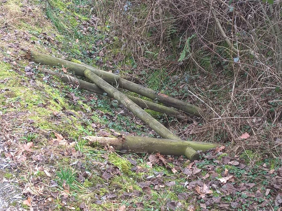 Sos, la pista ciclabile ha bisogno di manutenzione