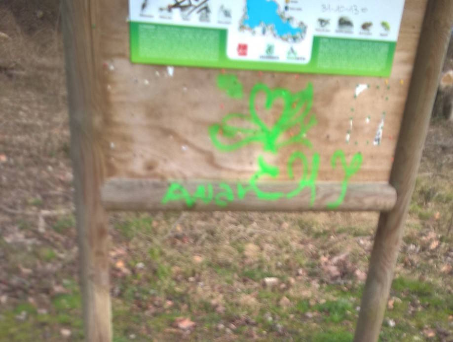 Sos, la pista ciclabile ha bisogno di manutenzione