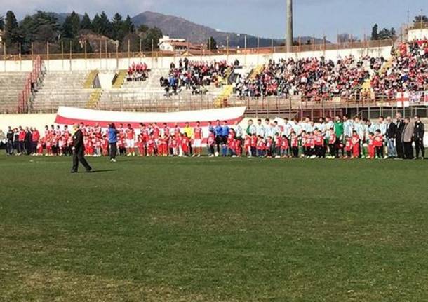 stadio varese