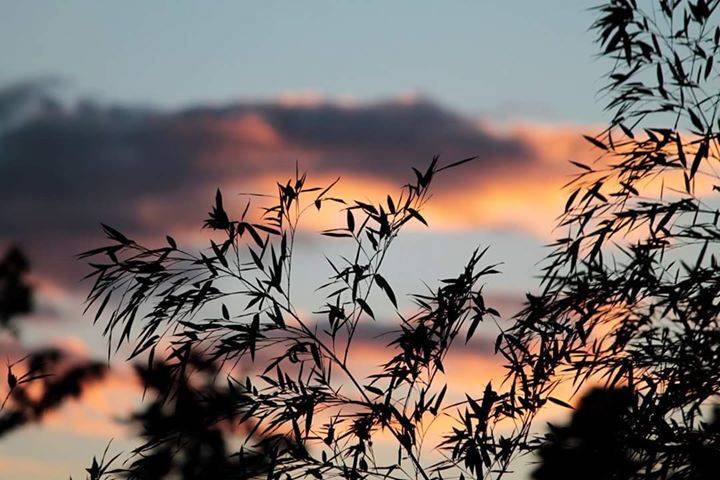 Tramonto a Viggiù